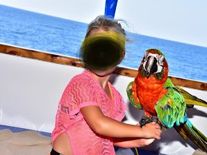 9b44b9ef07b8e34a094a3f25f68c05f3.jpg